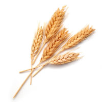 Drench Шампунь для волос увлажняющий